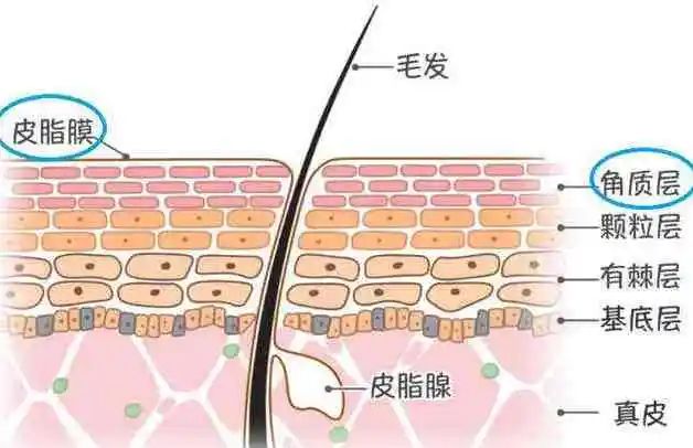 护肤品一点都不吸收,皮肤不吸收护肤品怎么办啊