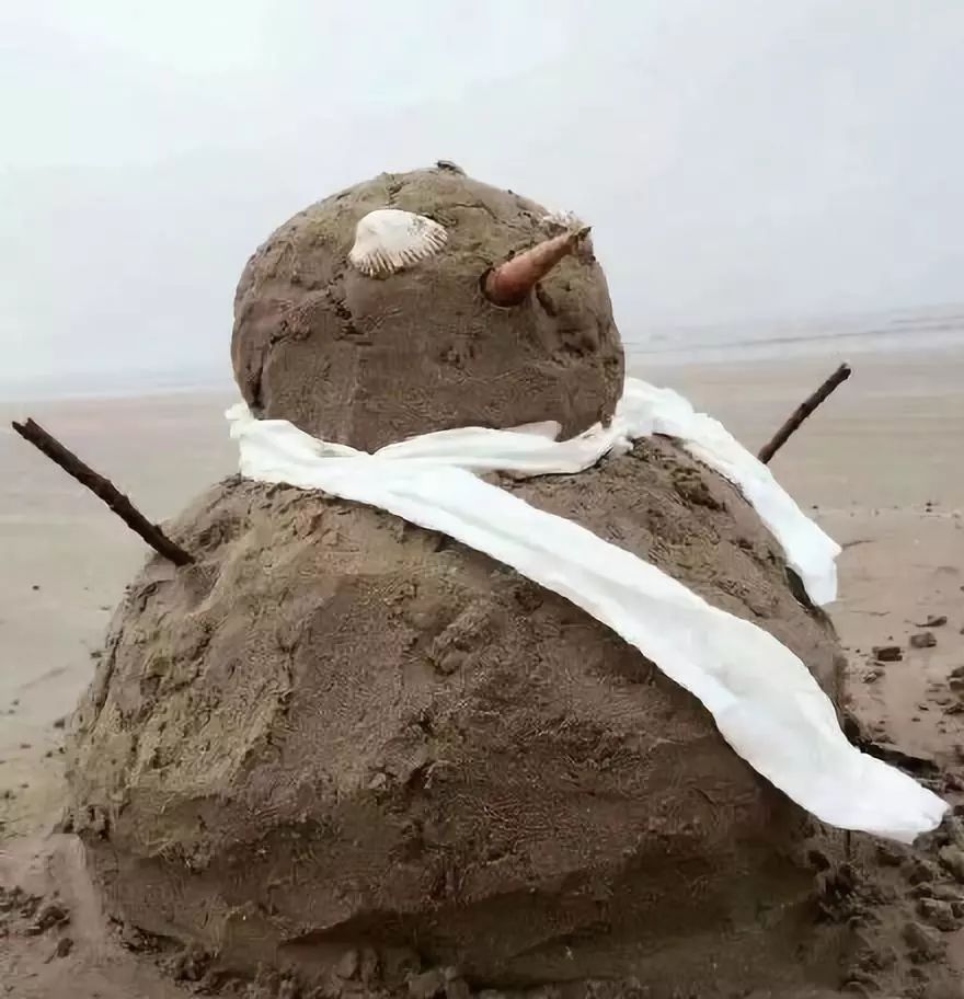 公园回应大妈路边卖雪,大妈卖雪5元一盆