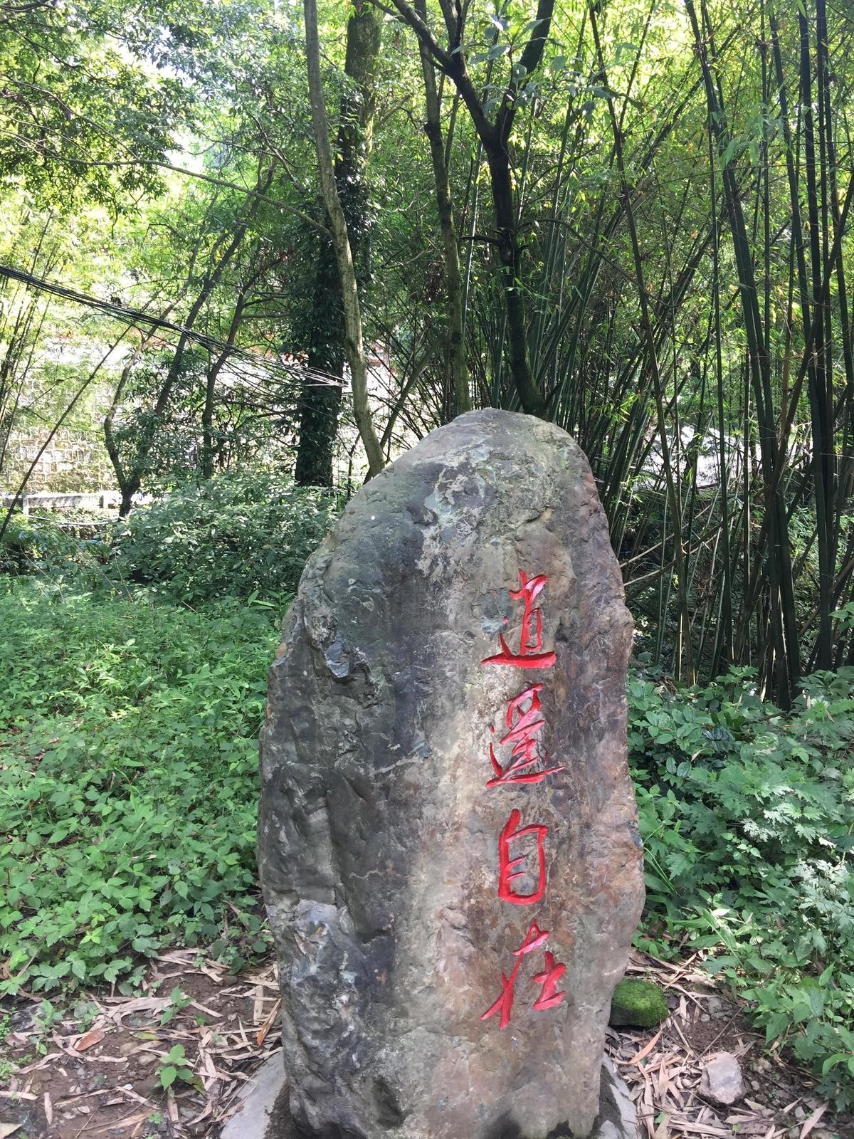 峨眉山登顶佛像,峨眉山登顶记完整版