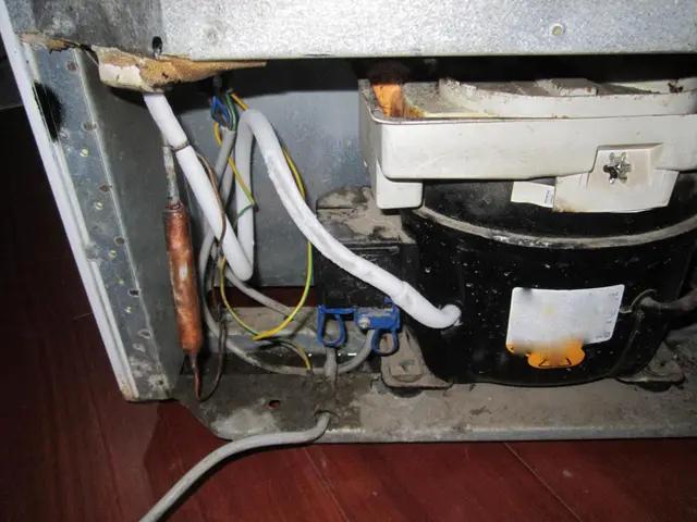 冰箱储水盒发臭排水管要洗吗,冰箱储水盒清理了还是有臭味