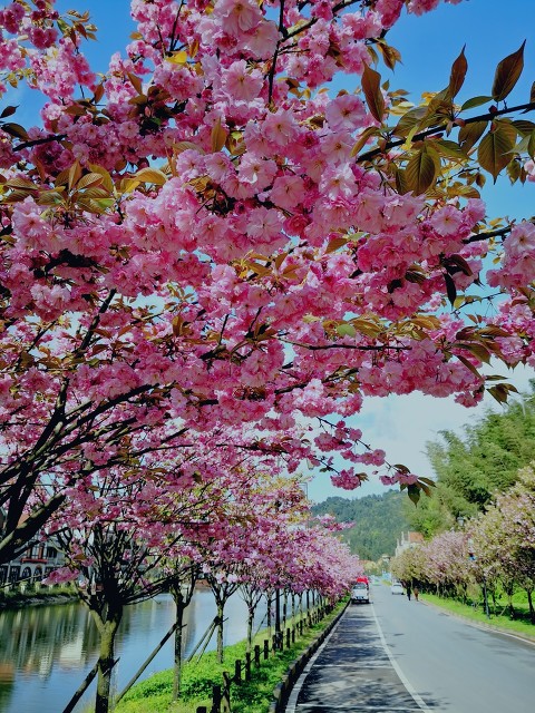 贵州赤水天鹅堡避暑山庄,贵州赤水千岛湖避暑