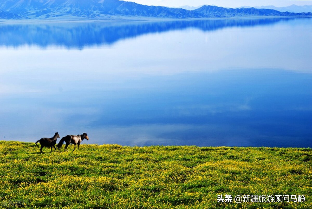疆游在线旅游攻略大全最新,最新疆内旅游攻略路线推荐
