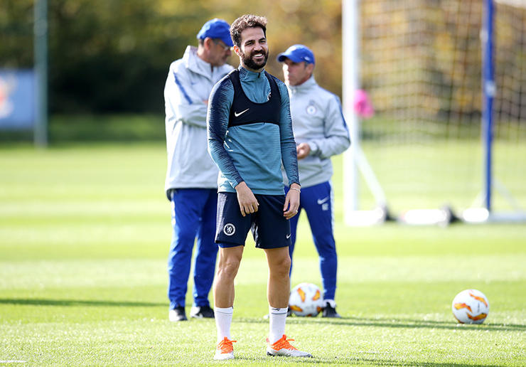 法布雷加斯taylor,法布雷加斯好机会