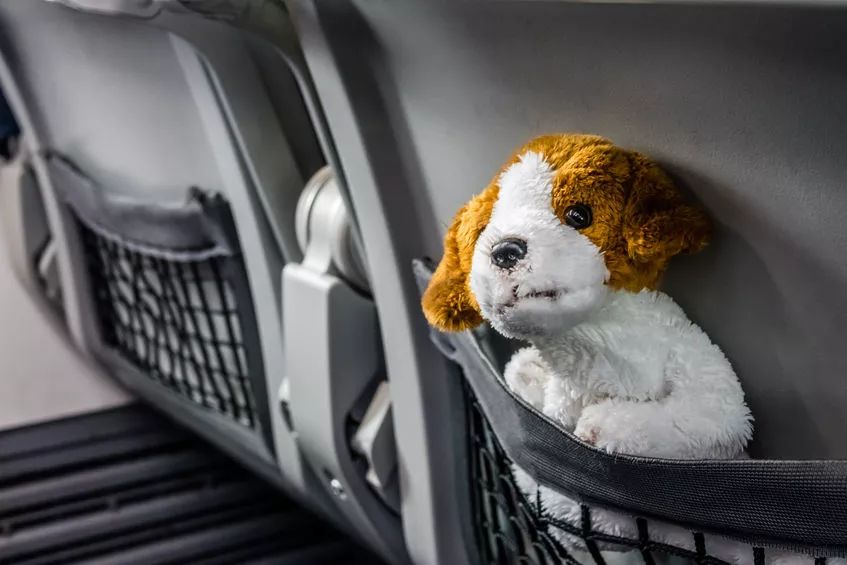 飞机上最脏的地方不是客舱厕所,飞机上最脏的场所是什么