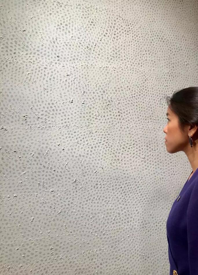 一个女人画一张网，价值7000万港币！