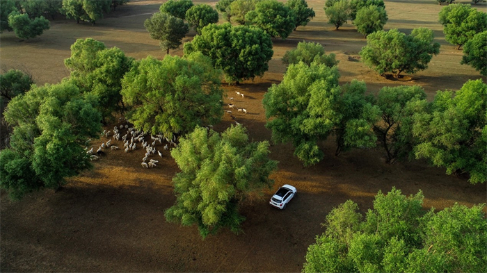 2021款起亚智跑ace超能版,21款换标起亚智跑ace用车感受