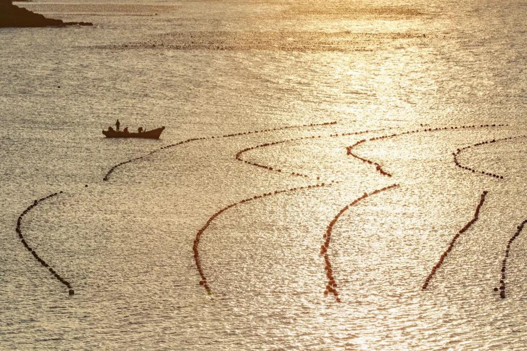 大连是座浪漫的城市,大连这座城市真的好美