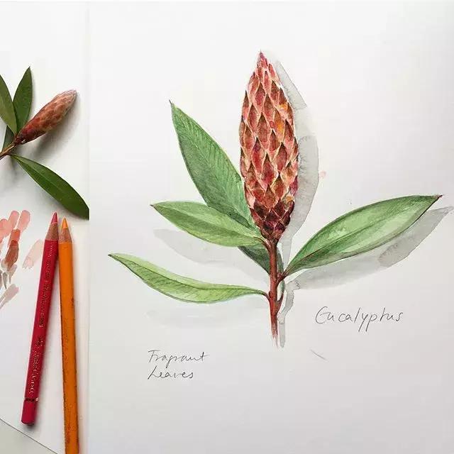 如何用手账本做一篇漂亮的手账,青春专属手帐