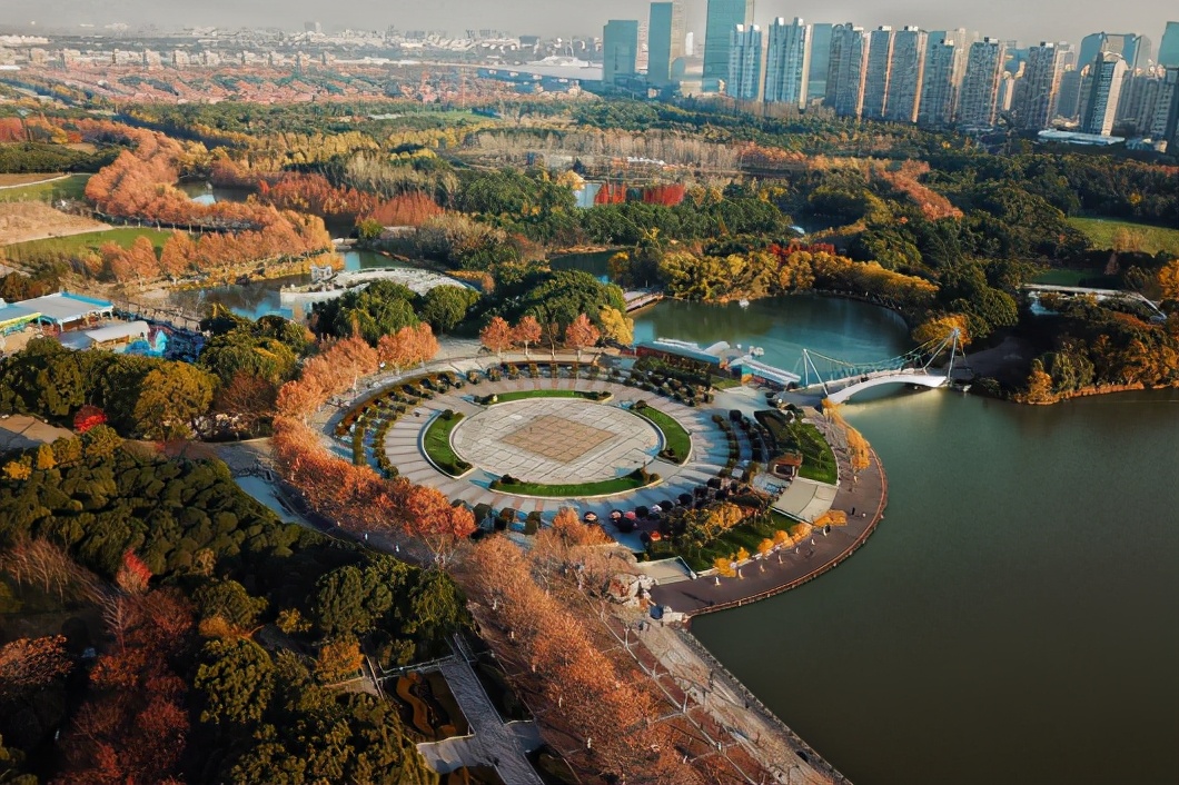 上海森林公园梅花园,上海腊梅