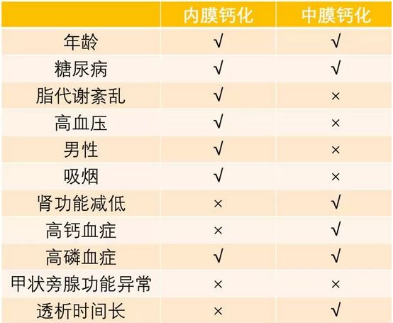 关于冠脉钙化的常见问题