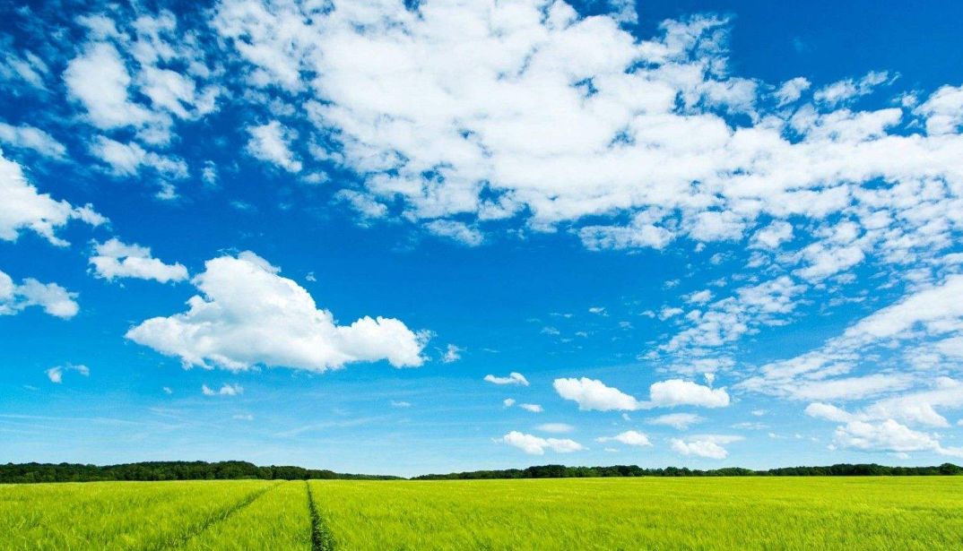 蠡县经济排名,蠡县排行榜