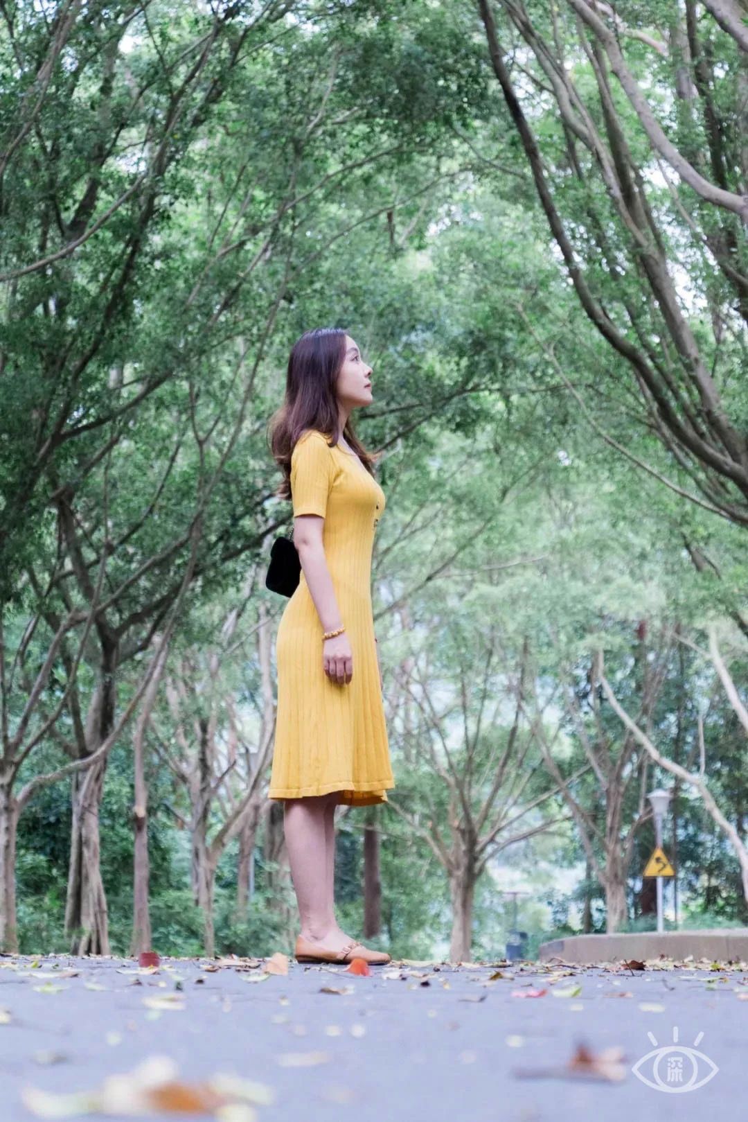 最美湖泊小众风景,最美湖泊西湖