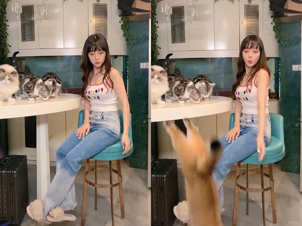 李小璐39岁还是少女，在家穿短裤和猫互动，嘟嘴亲猫好可爱