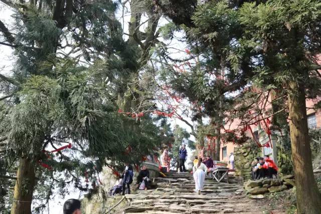 我的家乡被遗忘,我的家乡曾经也很美丽