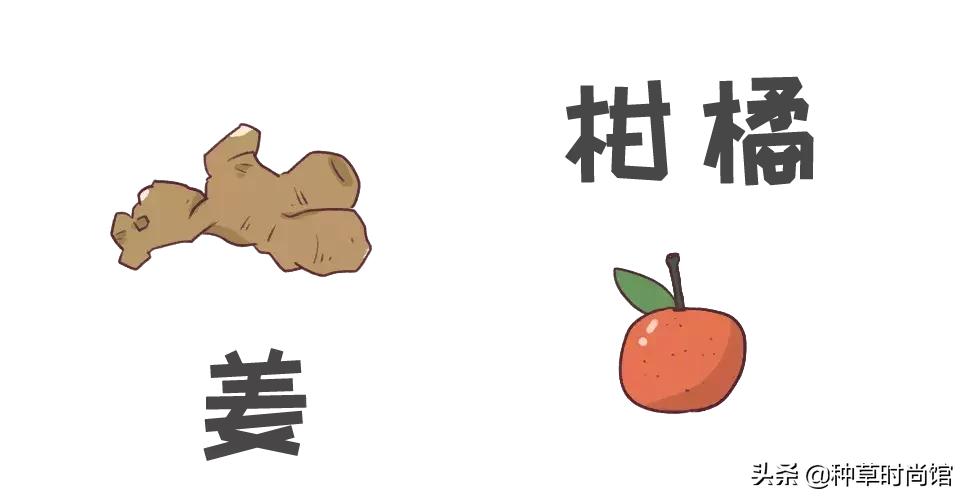 美妆界最大的骗局是什么,美妆界最大的骗局是真的吗