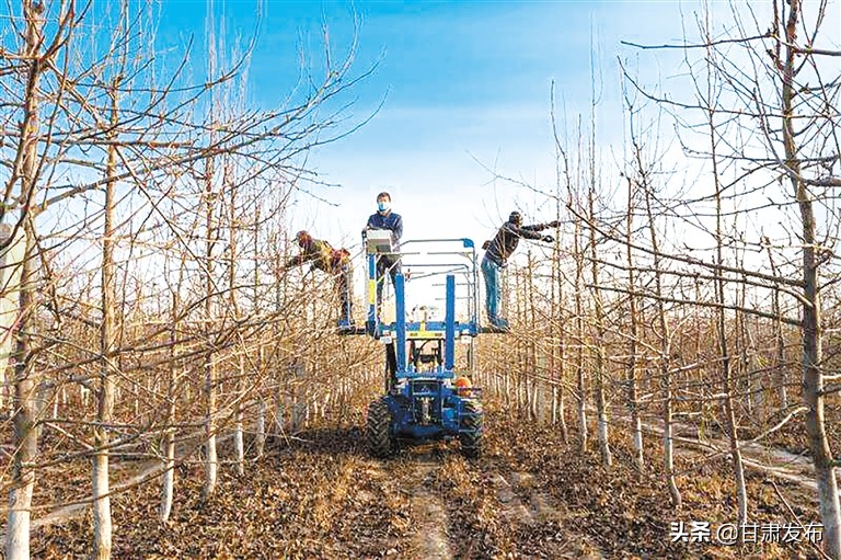 决战决胜脱贫攻坚,决战脱贫攻坚之年