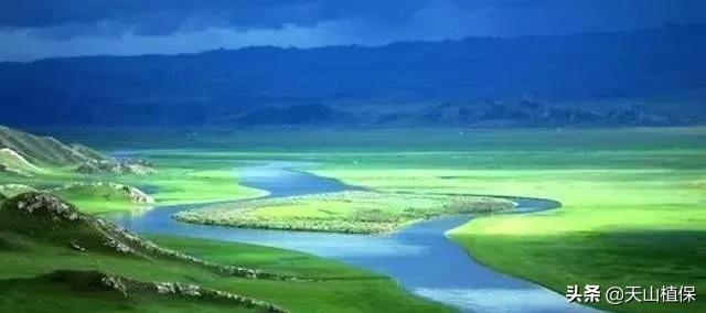 死亡之海罗布泊面积多大,罗布泊死亡之海之谜