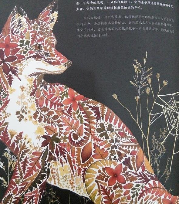 自然博物之旅,自然博物之旅感悟收获