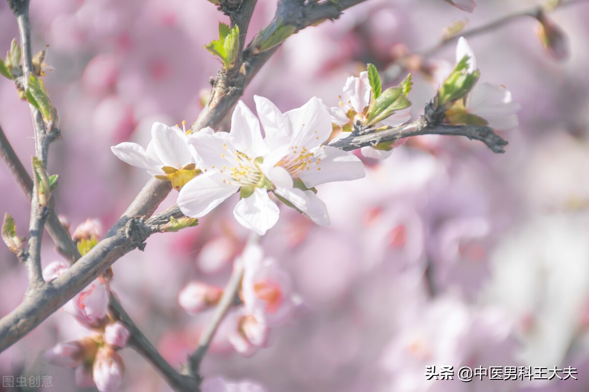 肾阴虚湿热该怎么办,肾阳虚肾精亏虚湿热比较重