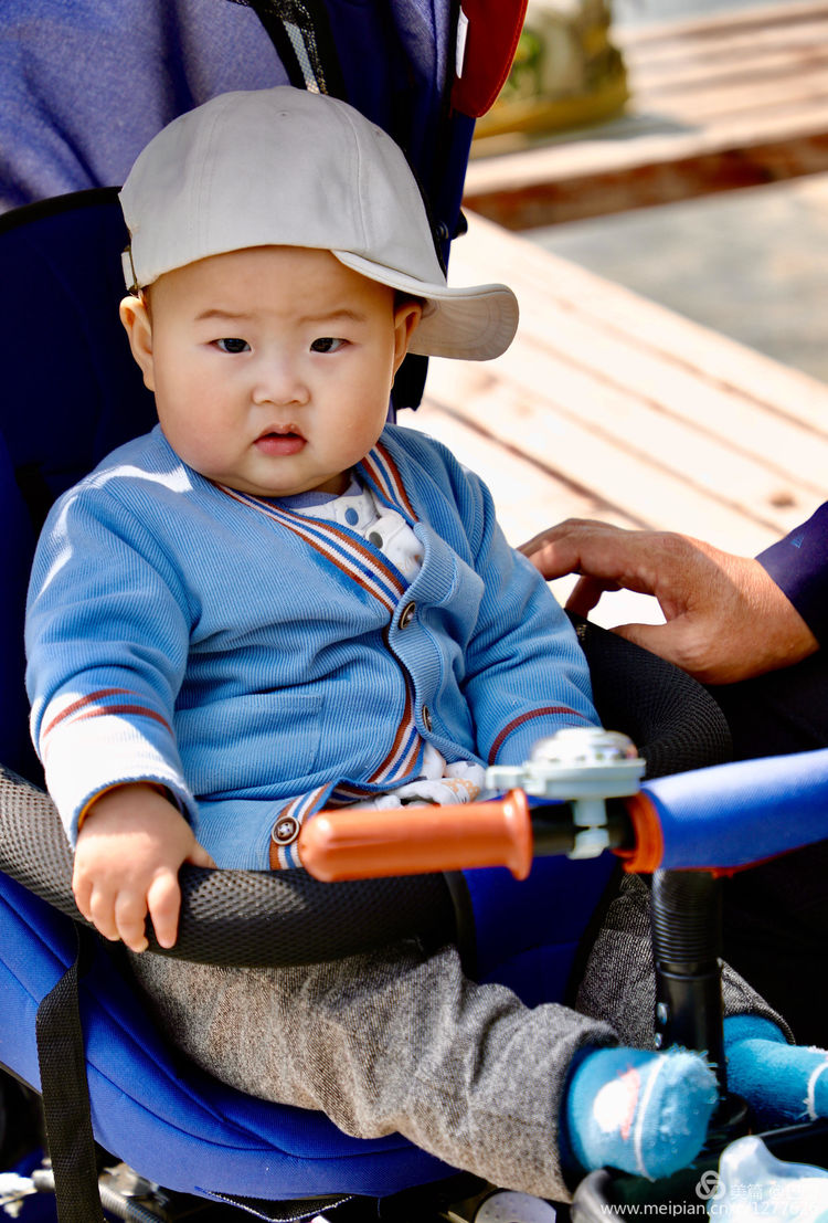 看洛阳牡丹花卉节,洛阳古都牡丹花展