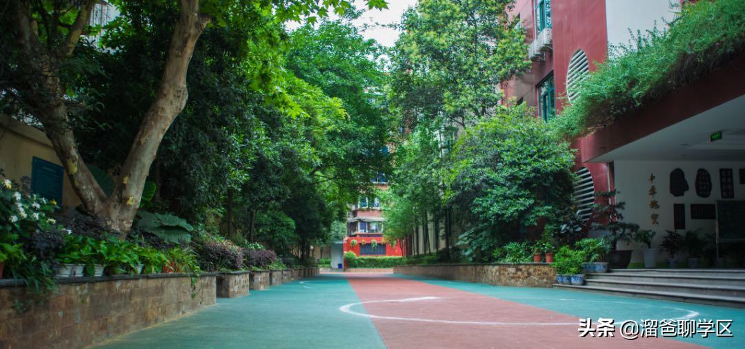 锦江四区小学推荐,锦江二片区四所小学排名