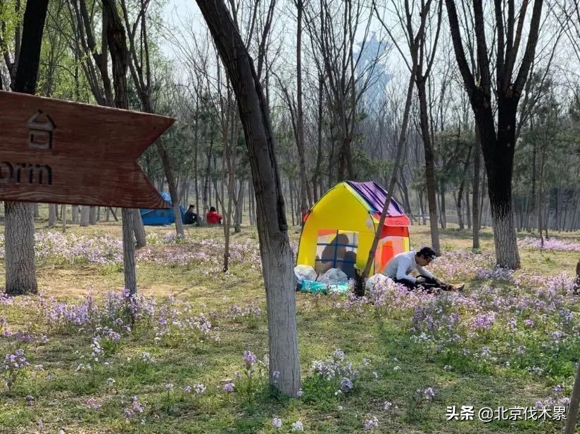 芒种旅游景点推荐,芒种至仲夏节气