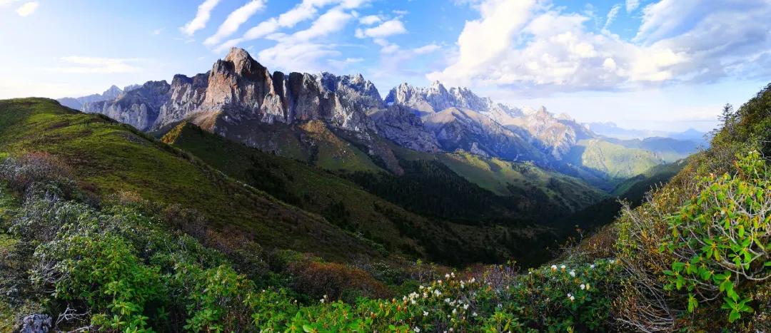 夏日叠词有哪些,夏日迭部