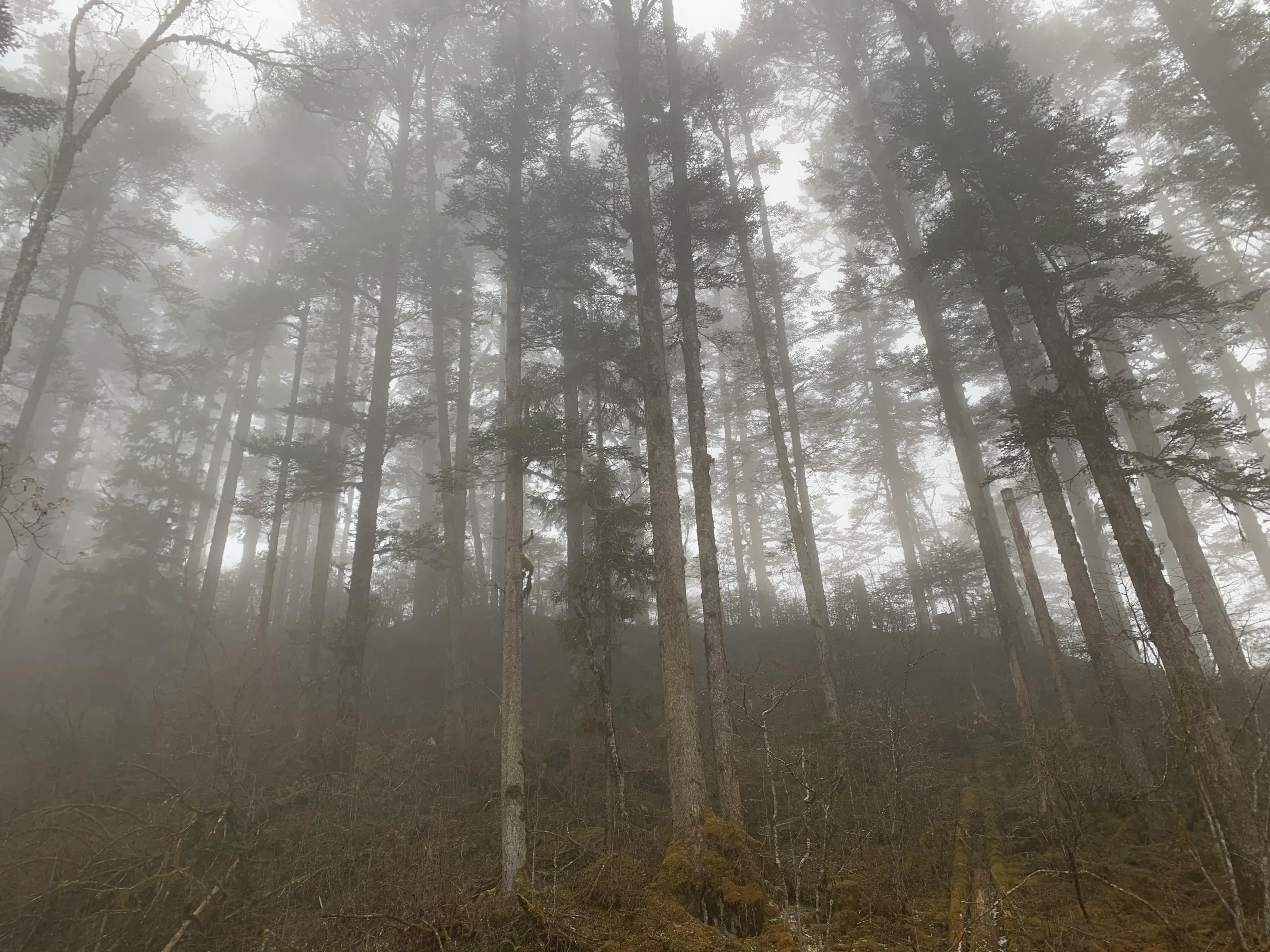 海螺沟燕子沟旅游攻略,海螺沟和燕子沟哪个更值得去