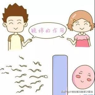 避孕药真的管用吗,避孕药治痘痘会不会不孕