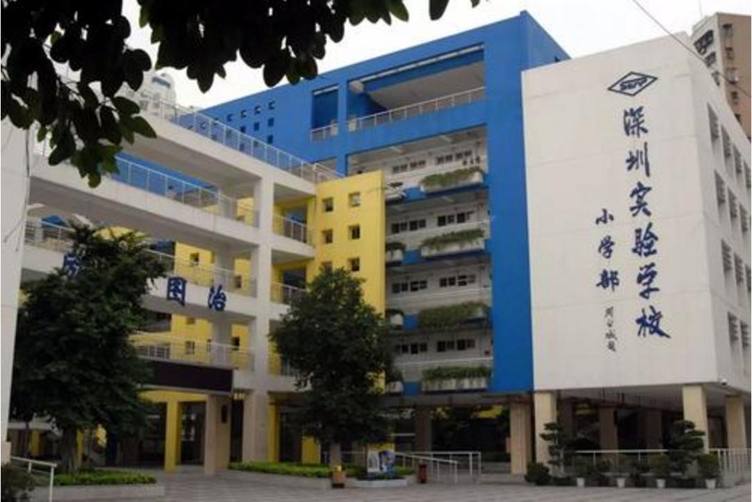 深圳十大优质小学,2023深圳小学优质排名