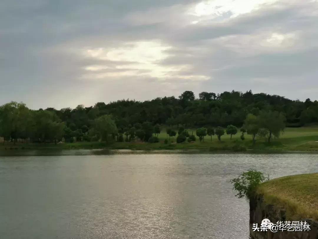 白露的诗句露从今夜白,白露至凉风起且看露从今夜白