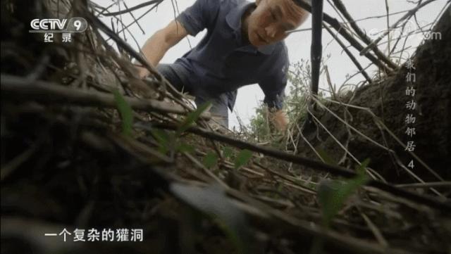 央视拍这种片怎么就没「流量」