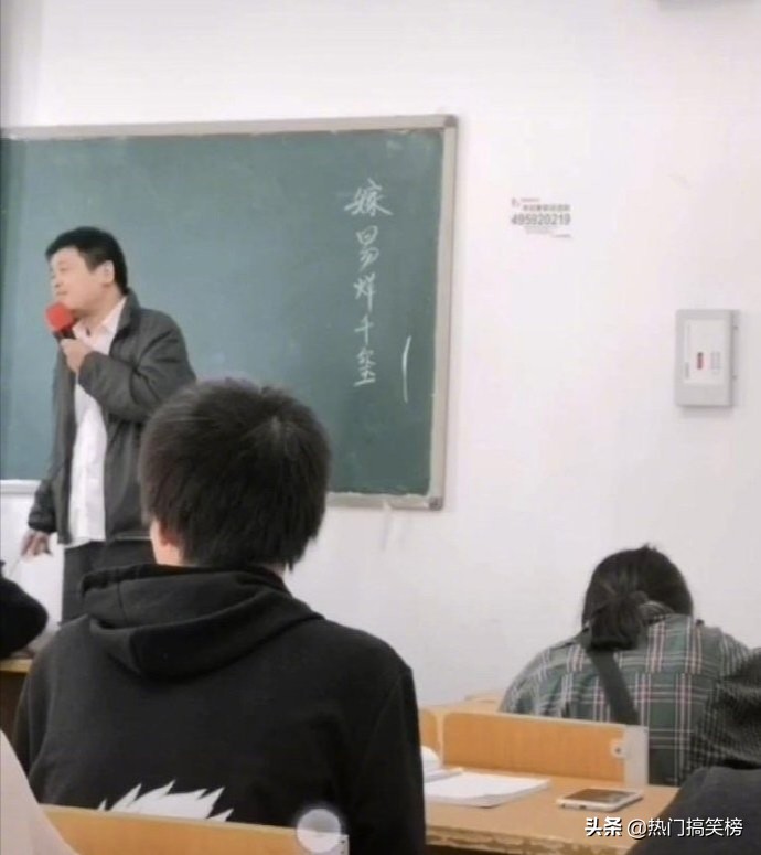 仓鼠和猫打架花了2000,和猫打架住院的仓鼠