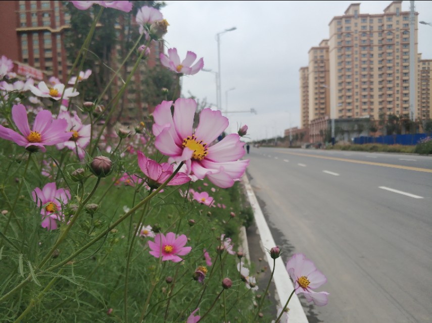 乌鲁木齐八大片区规划图,乌鲁木齐新增的几个区