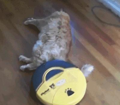 智能扫地机器人好不好主要看什么,智能家用扫地机器人好不好啊