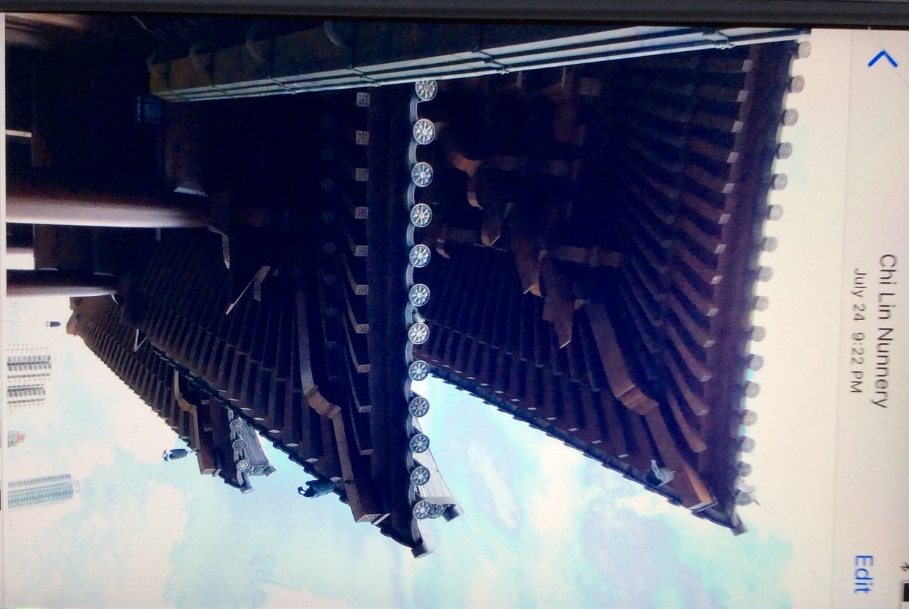 香港志莲净苑地图,香港志莲净苑好玩吗