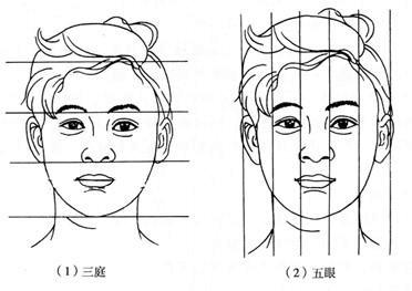 化妆需要“理论”知识吗，有了理论，你才知道你画的对不对