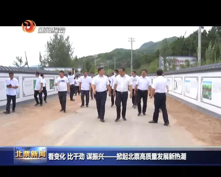 看变化绘未来,看变化谈发展征文