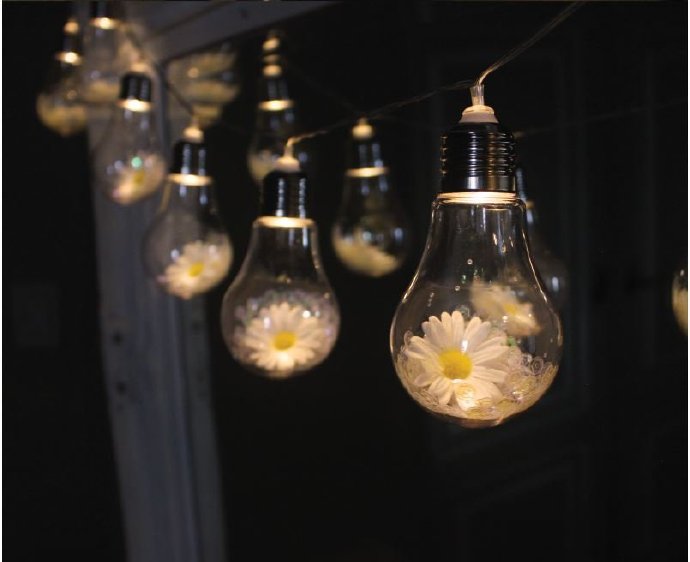 权志龙喜欢樱花和雏菊吗,权志龙最喜欢的所有东西