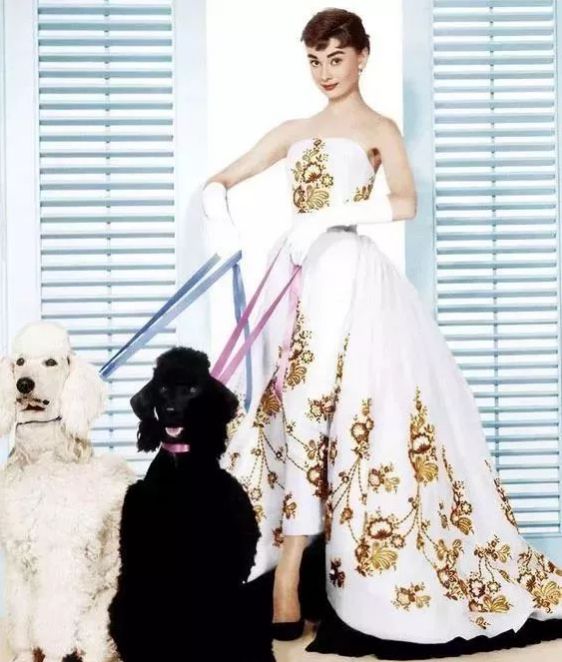 中国十大女装品牌排行榜前十名,世界十大名牌女装有哪些