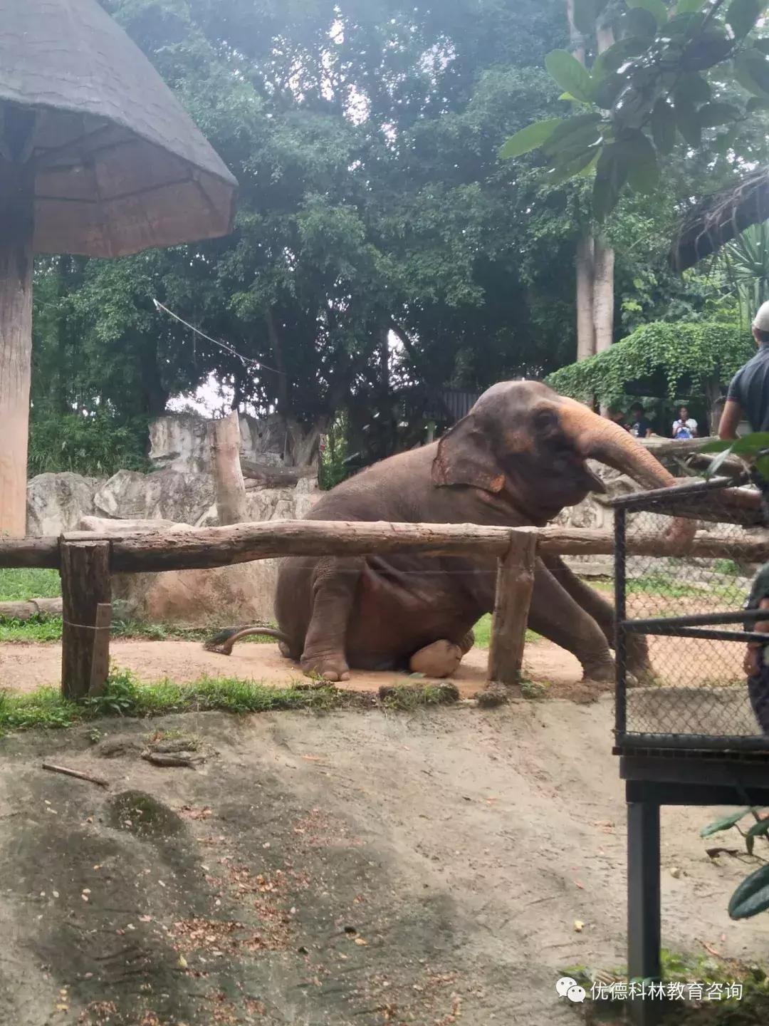 想去泰国当中文老师有什么要求,中国人如何去泰国当中文老师