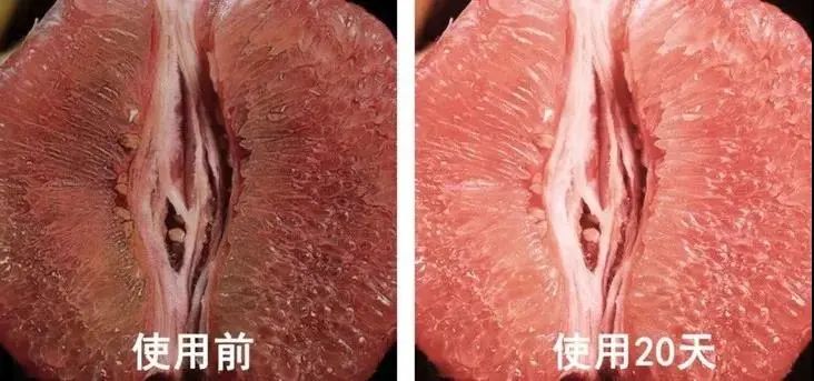 独特益生菌成分，帮你重返18岁少女娇嫩