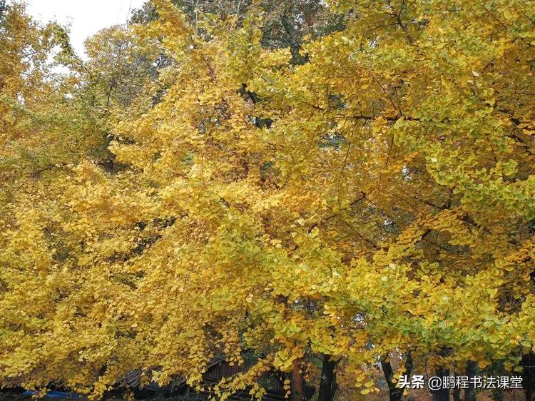 苏州最美的地方是哪里,苏州天平山最近景色
