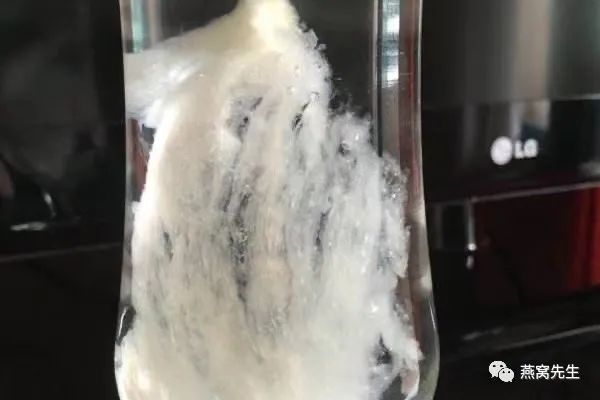 马来西亚的燕窝好还是印尼好,马来西亚和印尼燕窝哪个好些