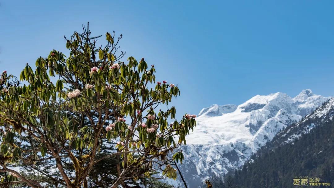 昌都市藏东明珠,现在的昌都藏东明珠