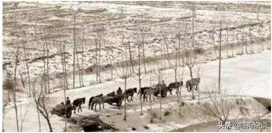 可爱的家乡巴彦,可爱的家乡