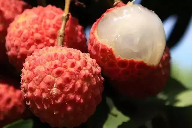 名不副实告诉我们什么道理,名不副实算虚假宣传吗