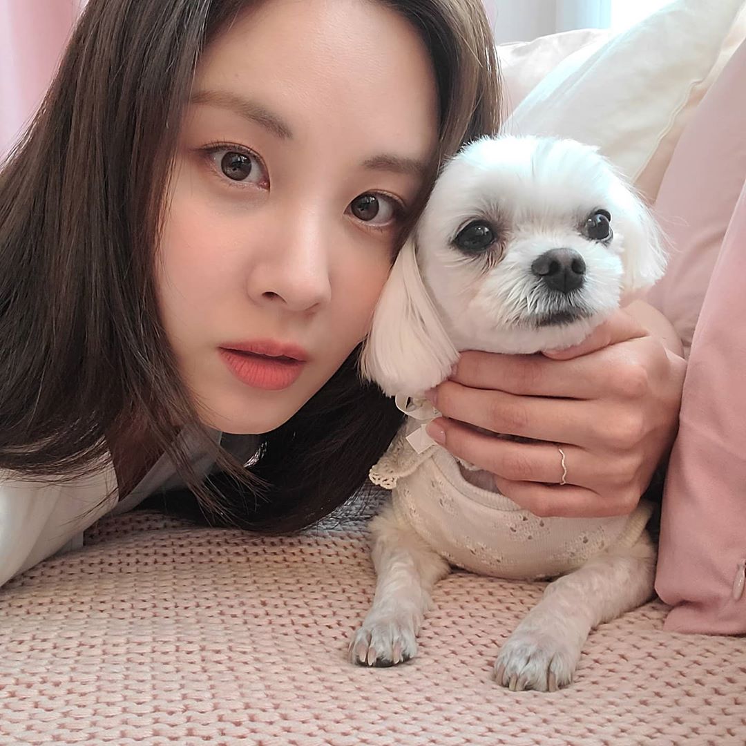 韩国爱豆几岁当的练习生,韩国爱豆出道年龄限制