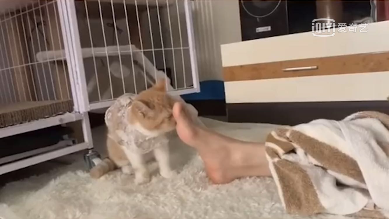 厦门小姐姐满脸红痘，竟是脚气上脸！到底发生了什么？