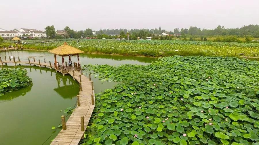 您有一份邀请函请查收,您有一份新的工作请查收